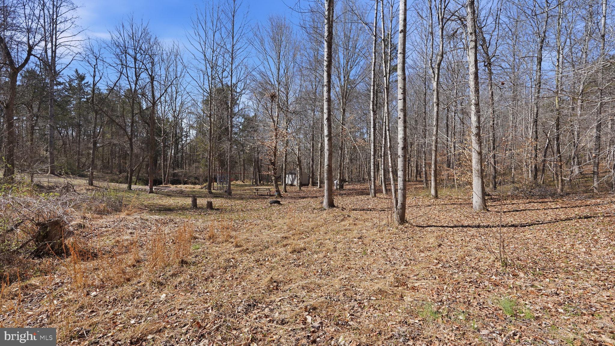 Lot 28 Marquis Road Orange, VA 22960 - Photo 11 of 17
