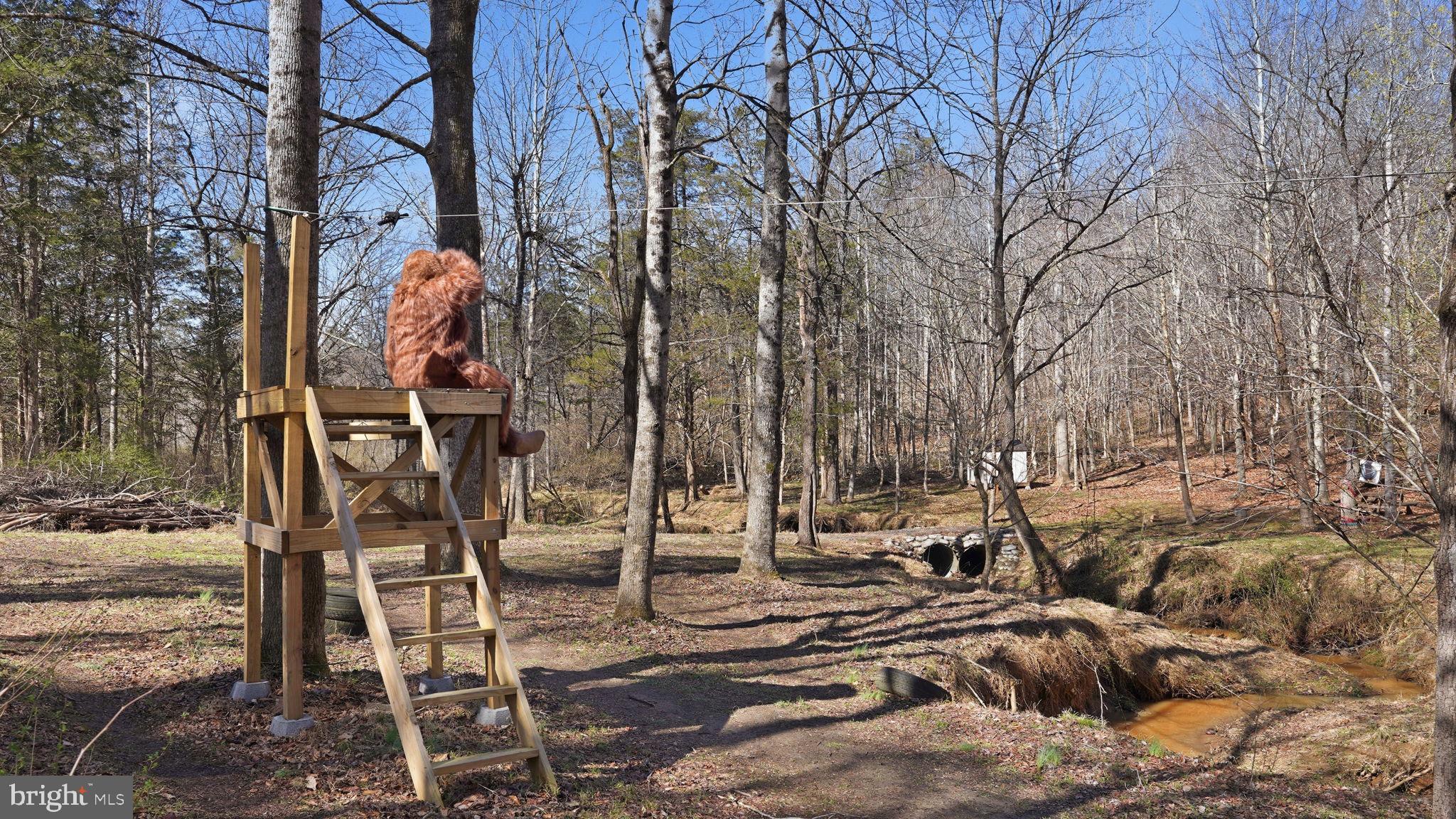 Lot 28 Marquis Road Orange, VA 22960 - Photo 14 of 17