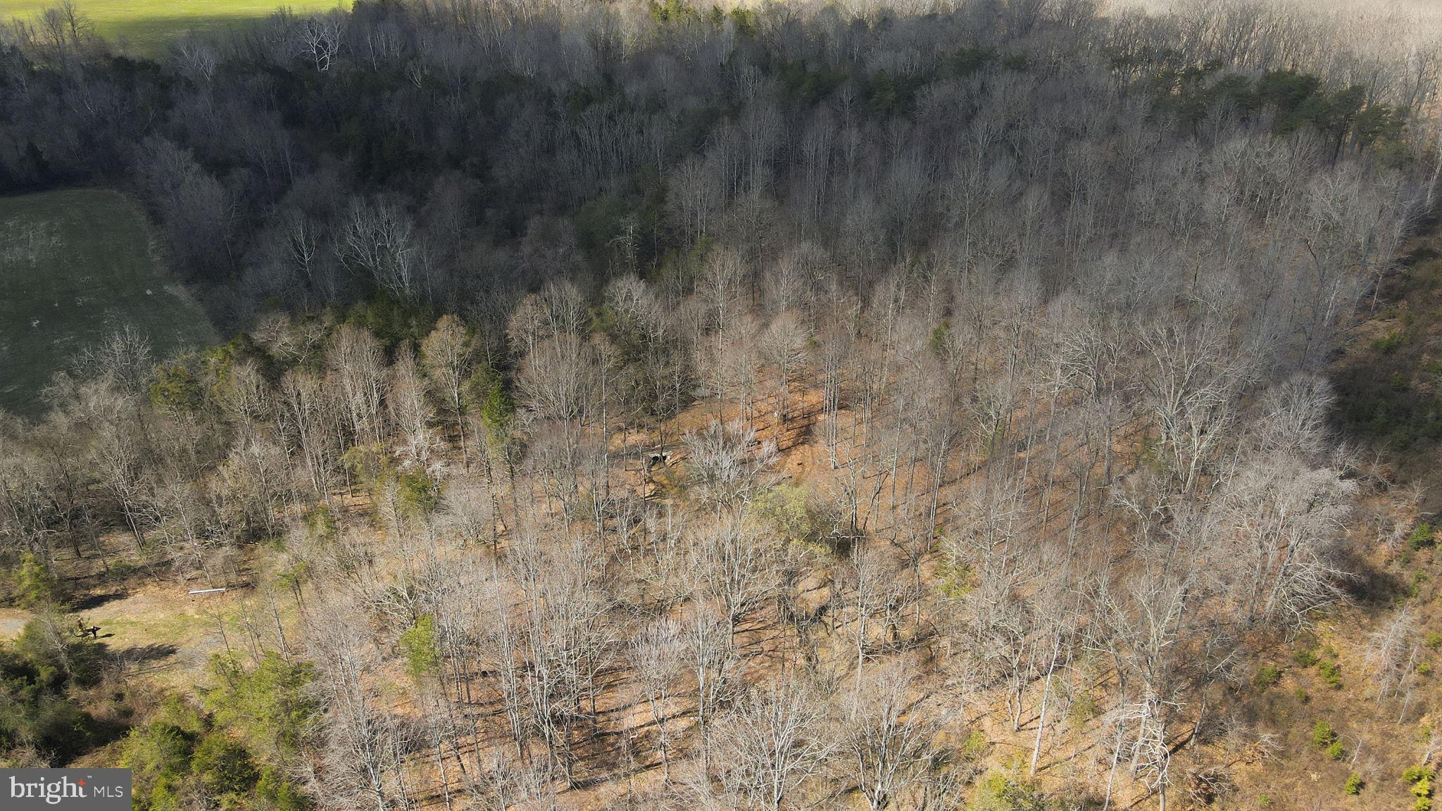 Lot 28 Marquis Road Orange, VA 22960 - Photo 16 of 17