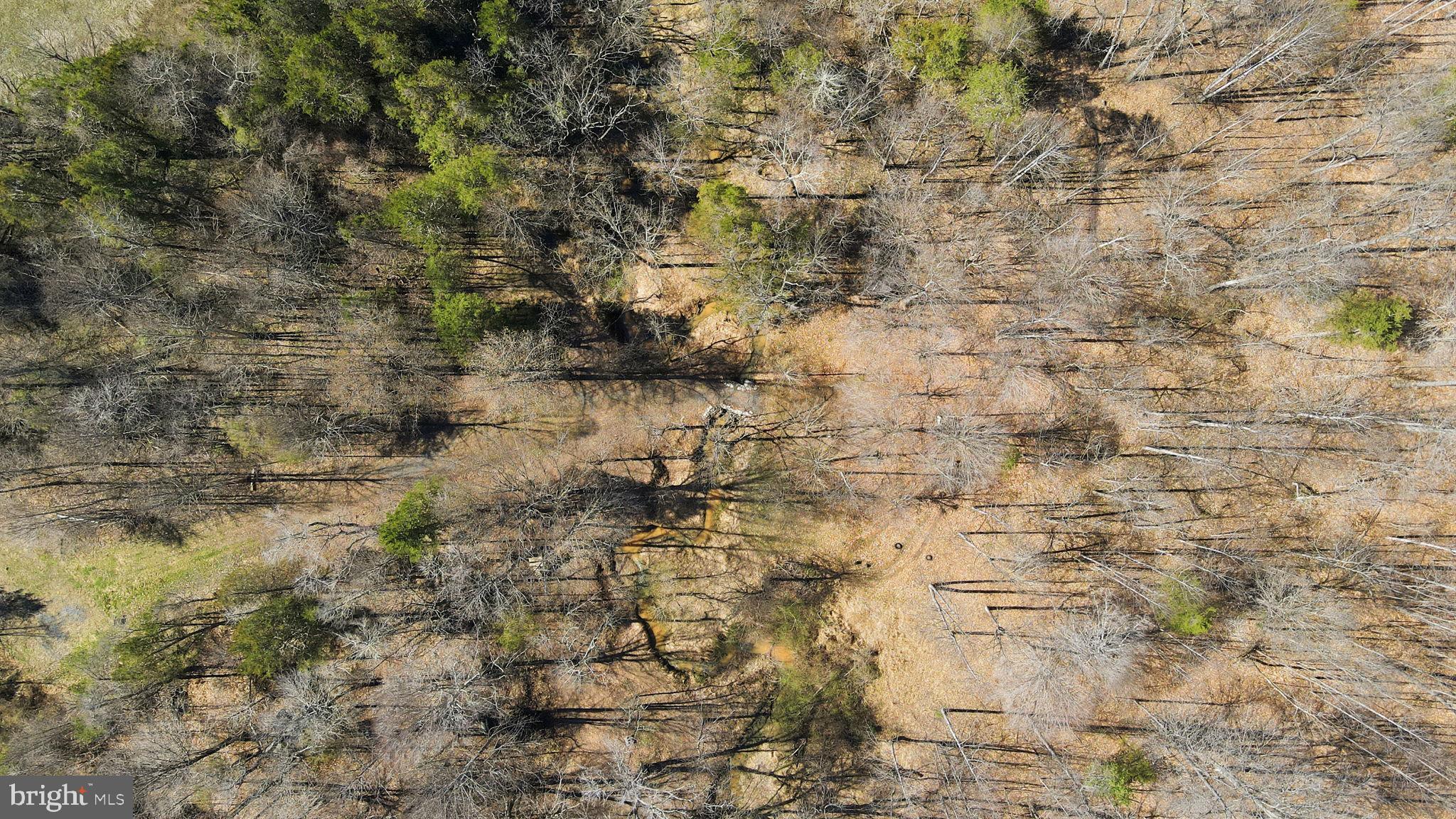 Lot 28 Marquis Road Orange, VA 22960 - Photo 17 of 17