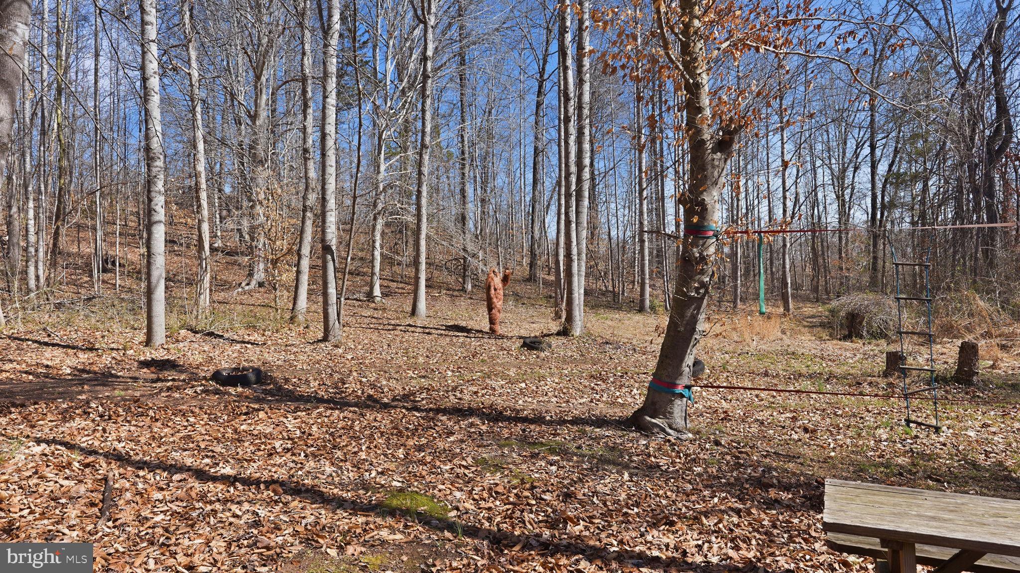 Lot 28 Marquis Road Orange, VA 22960 - Photo 7 of 17