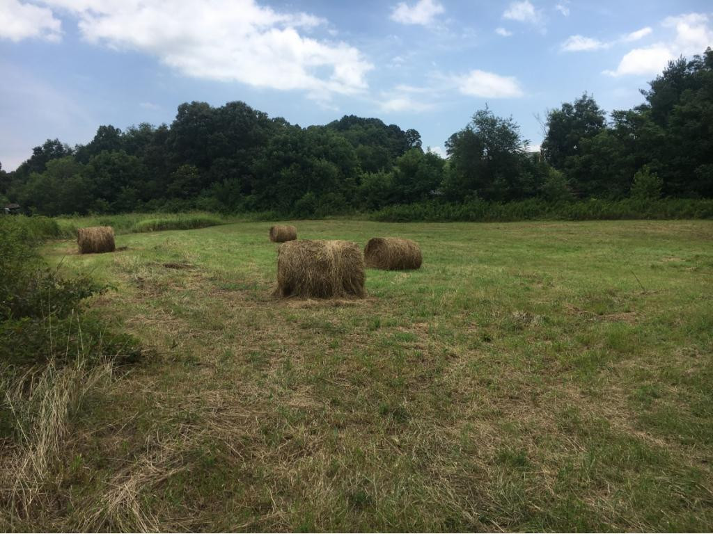 0 Clear Springs Road Limestone, TN 37681 - Photo 1 of 3 Photo 1
