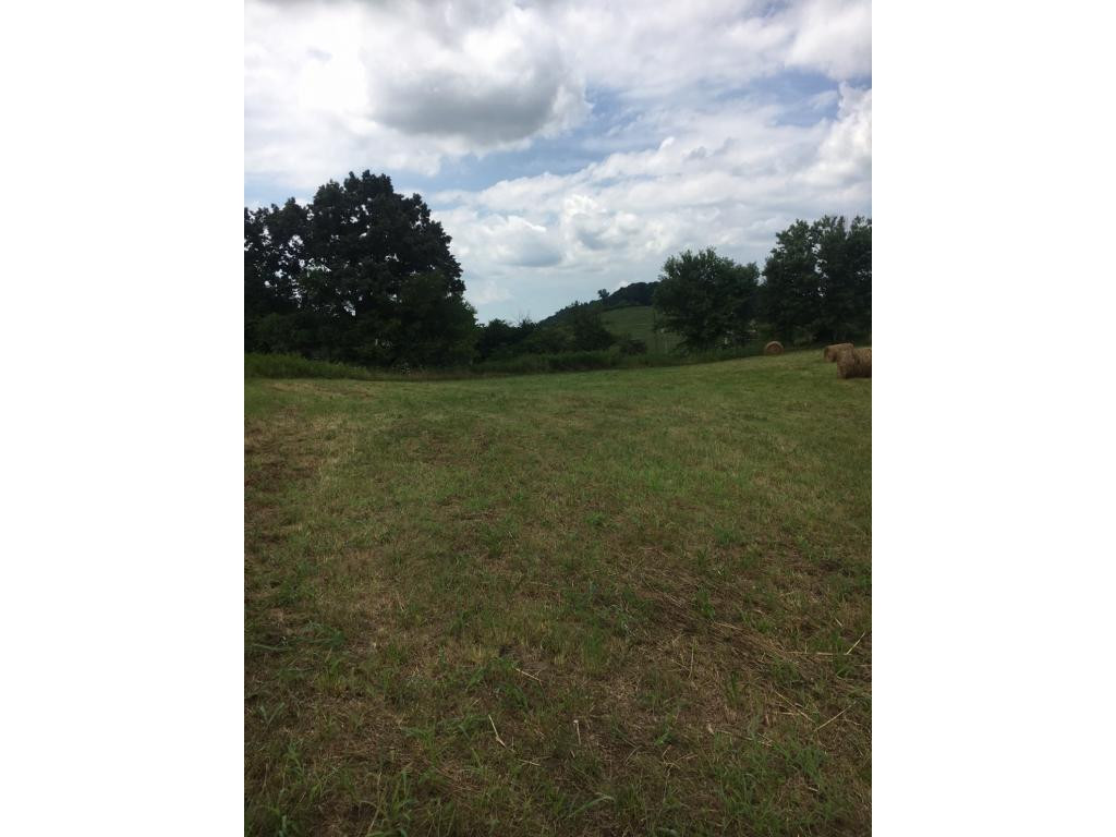 0 Clear Springs Road Limestone, TN 37681 - Photo 2 of 3 Photo 2