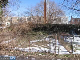 265 Coverly Road Lansdowne, PA 19050 - Photo 4 of 4