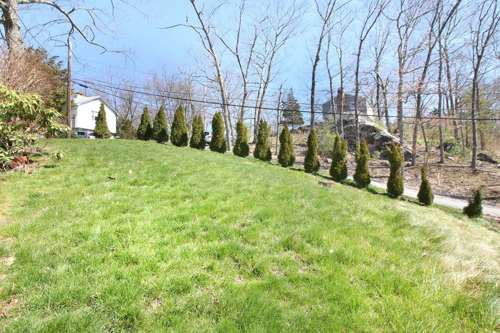 62 Greensboro Road Dedham, MA 02026 - Photo 30 of 30 Gallery Image 30