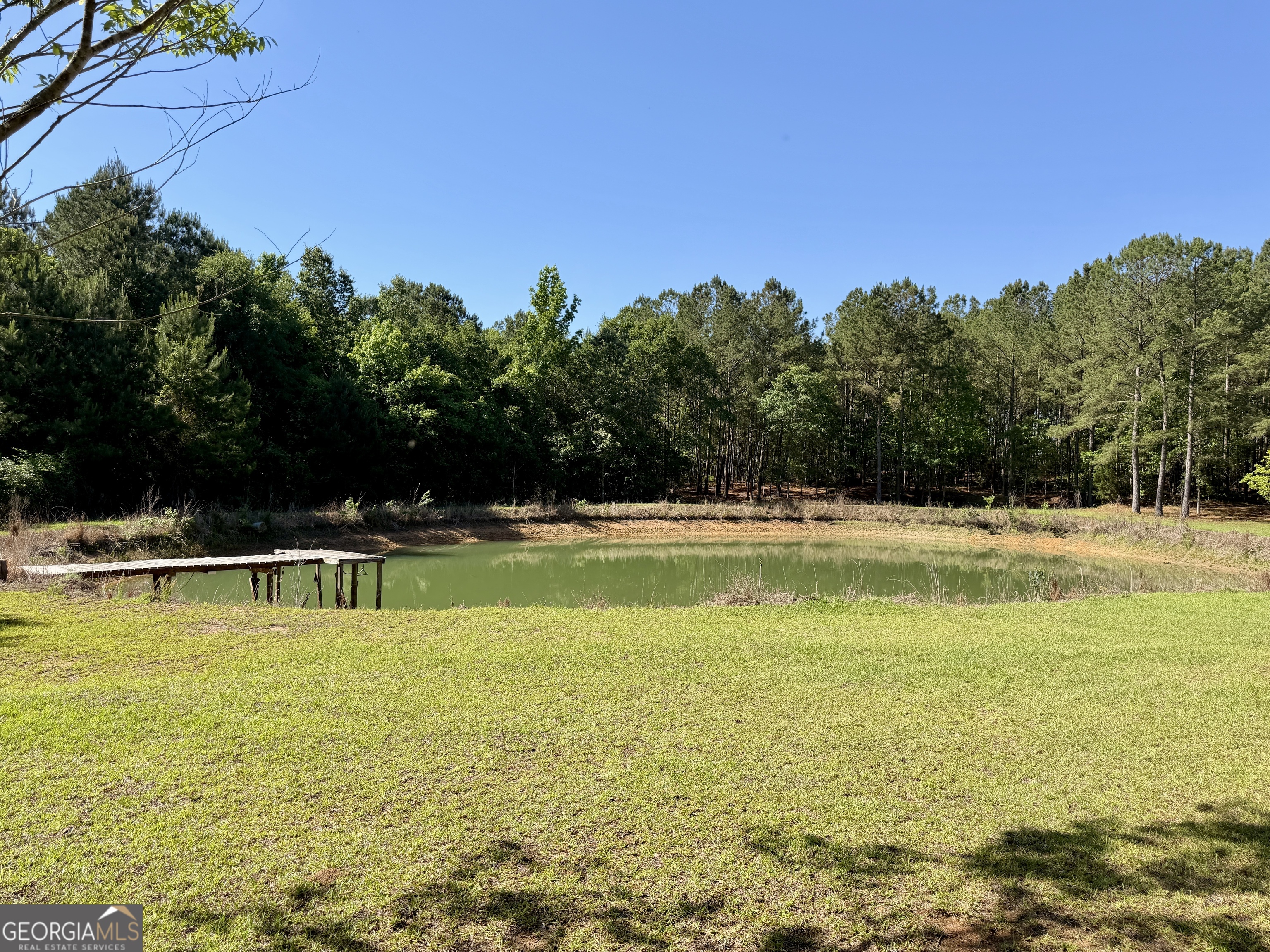 769 Mt Olive Church Road Eastman, GA 31023 - Photo 30 of 68