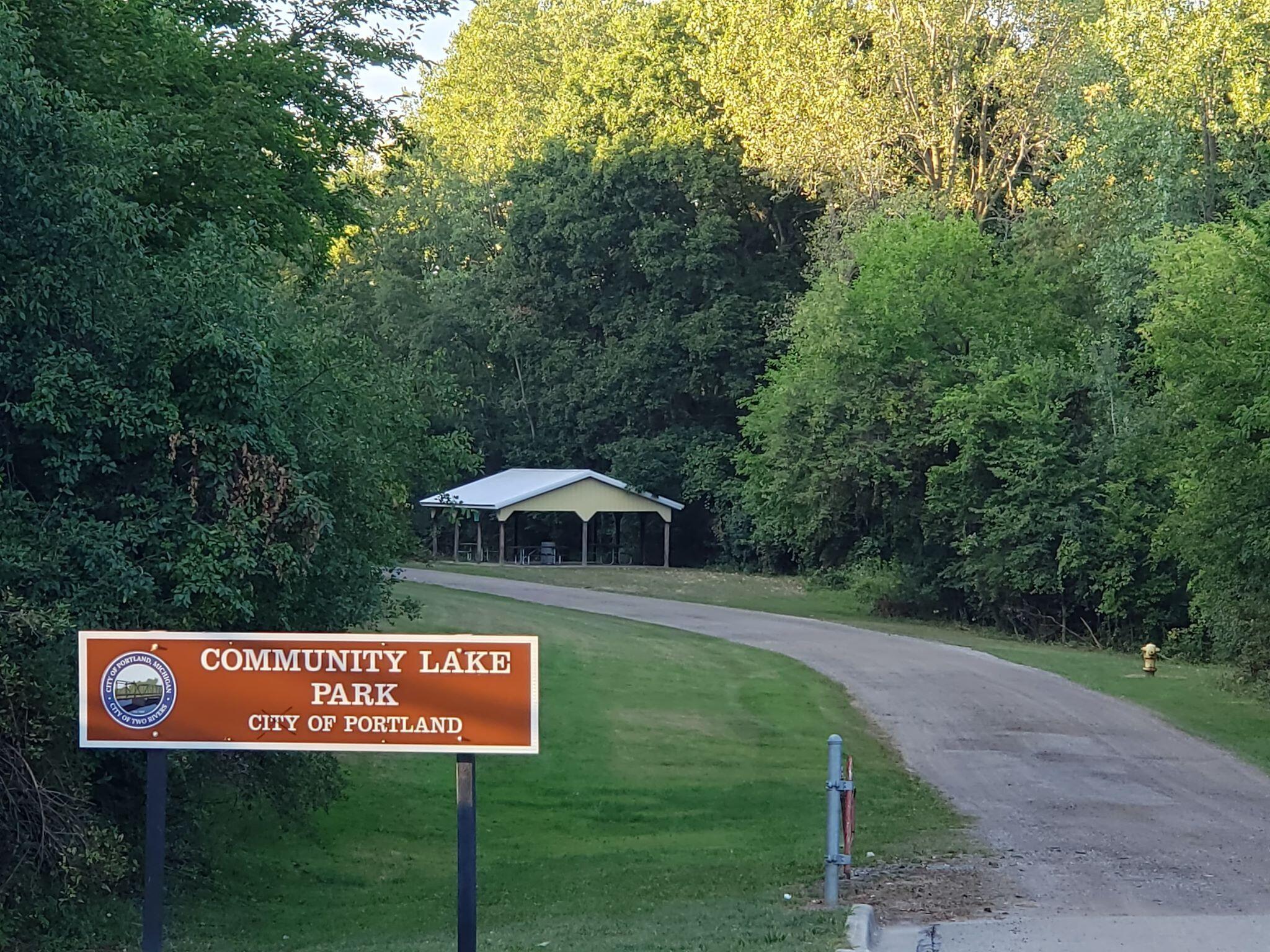 814 Lyons Road Portland, MI 48875 - Photo 85 of 129 117924873_321564122297530_29369051126409