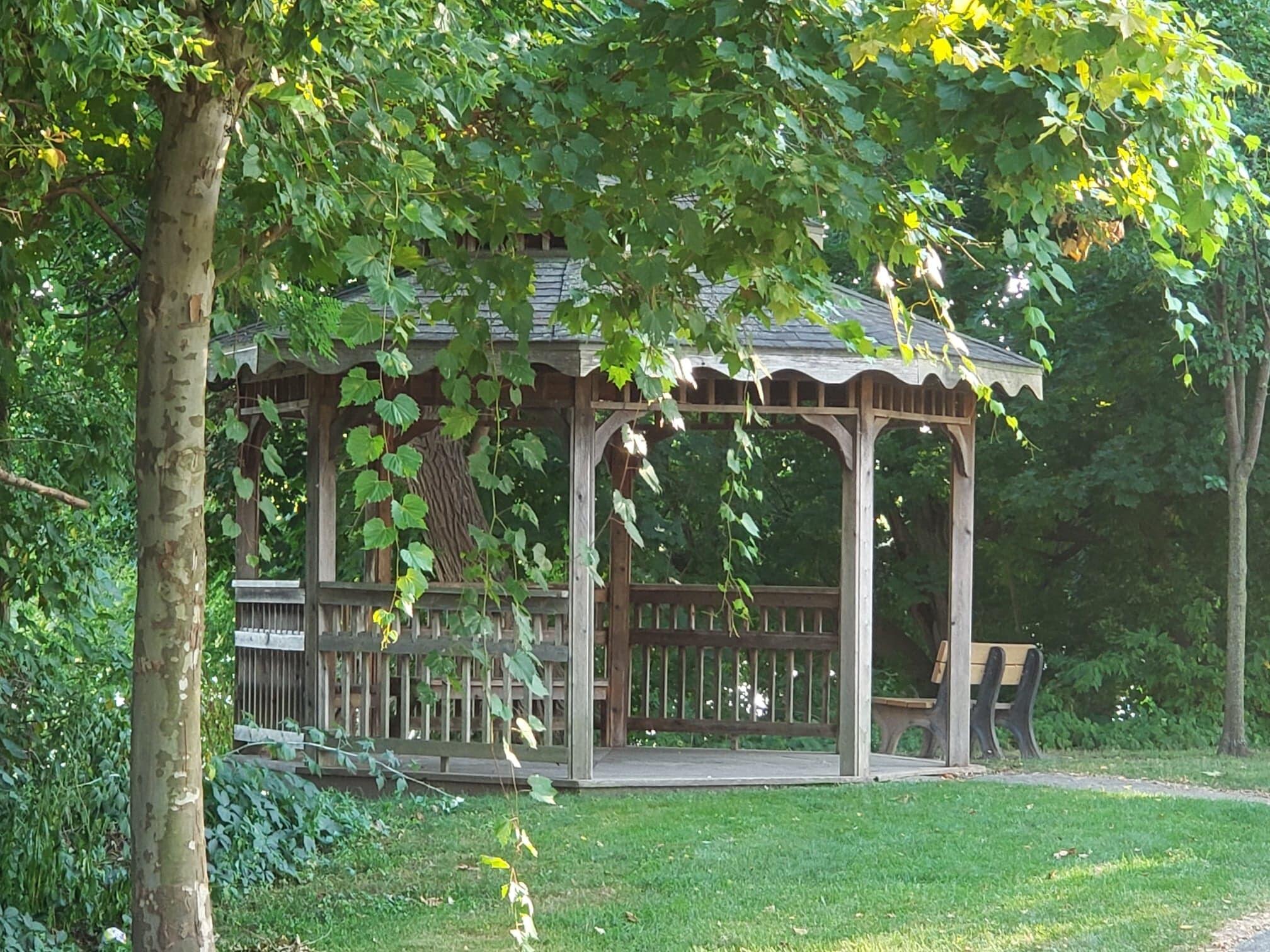 814 Lyons Road Portland, MI 48875 - Photo 92 of 129 118088692_306341057362899_66470680453788