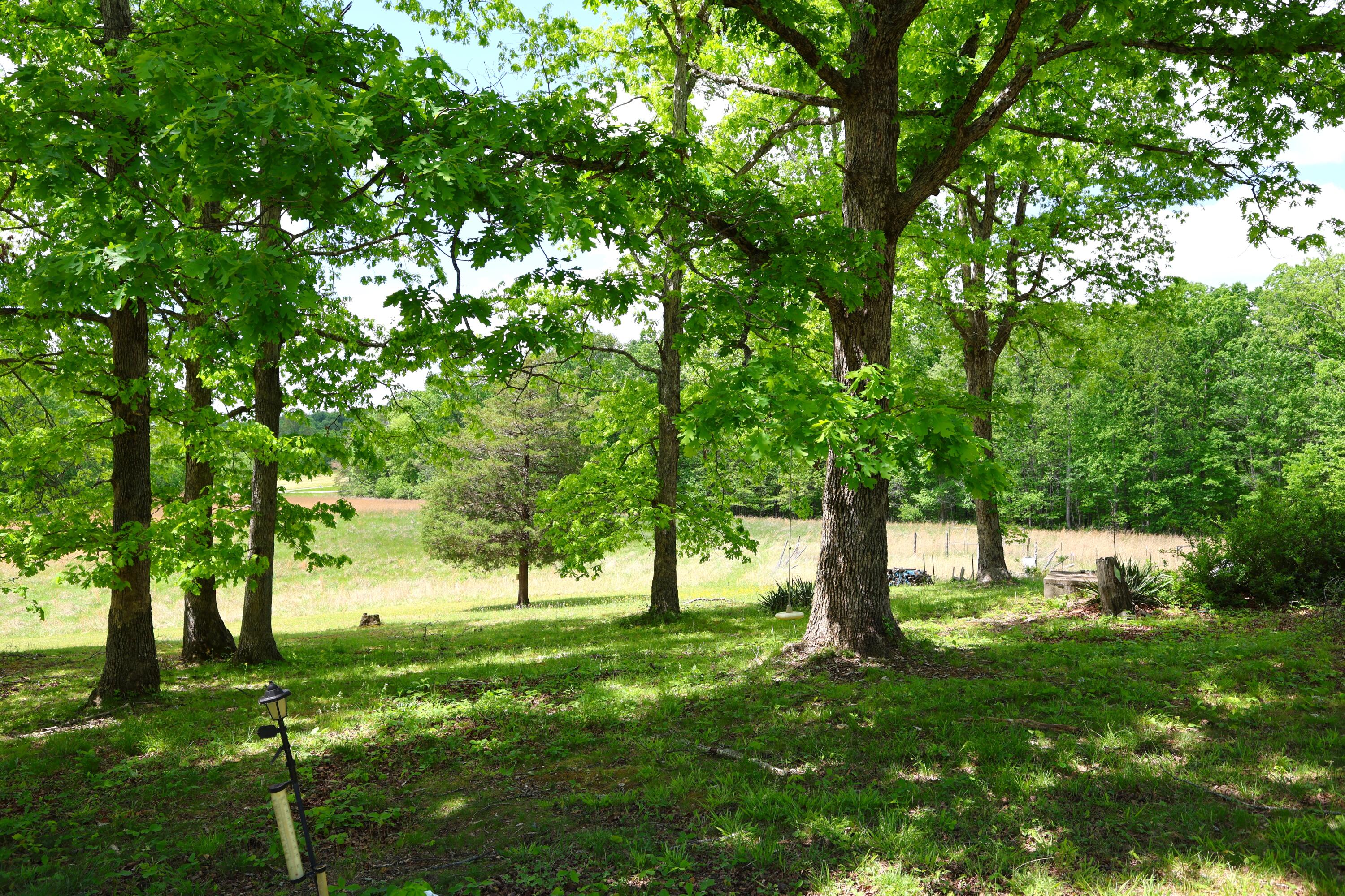 105 Stewart Fork Road Ravenna, KY 40472 - Photo 18 of 59 Looking right from porch!