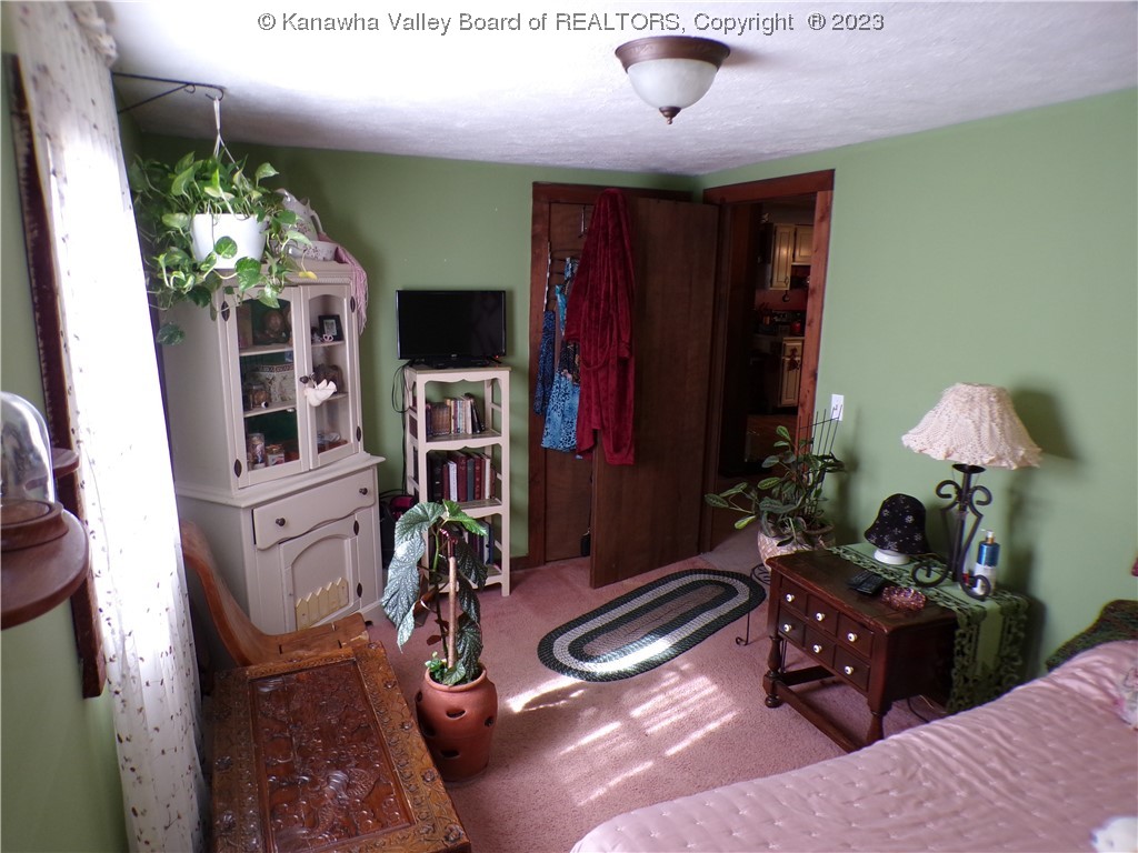 2170 Middle Fork Road Reedy, WV 25270 - Photo 19 of 30 Gallery Image 19