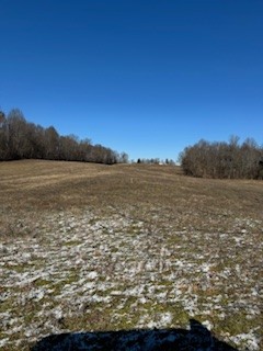 800 White Springs Road Lafayette, TN 37083 - Photo 11 of 15 Gallery Image 11