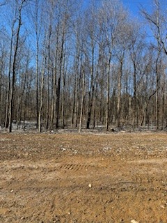 800 White Springs Road Lafayette, TN 37083 - Photo 13 of 15 Gallery Image 13