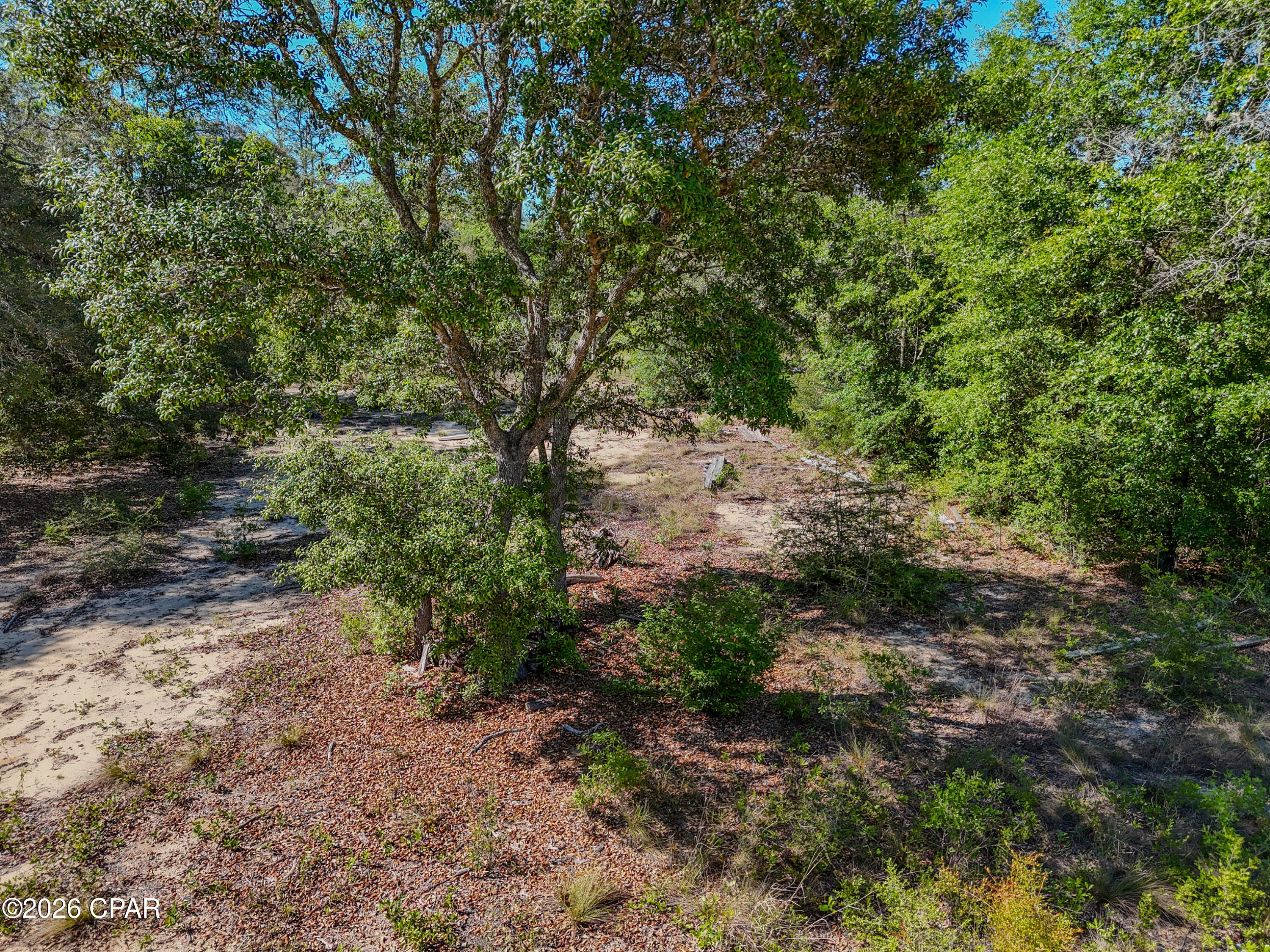 20455 Morrow Road Fountain, FL 32438 - Photo 16 of 23