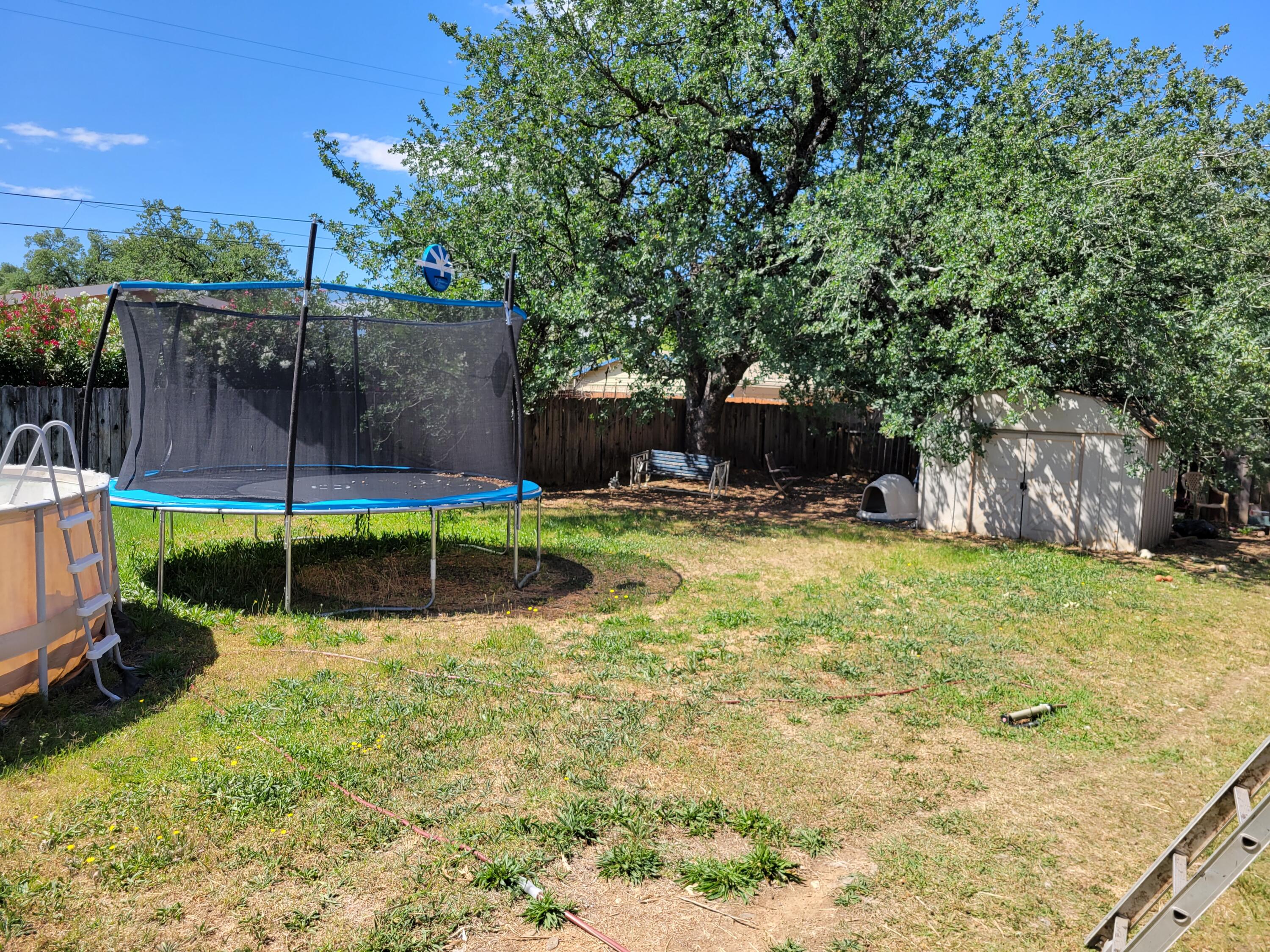 3551 Oasis Road Redding, CA 96003 - Photo 27 of 27 3551 Oasis backyard
