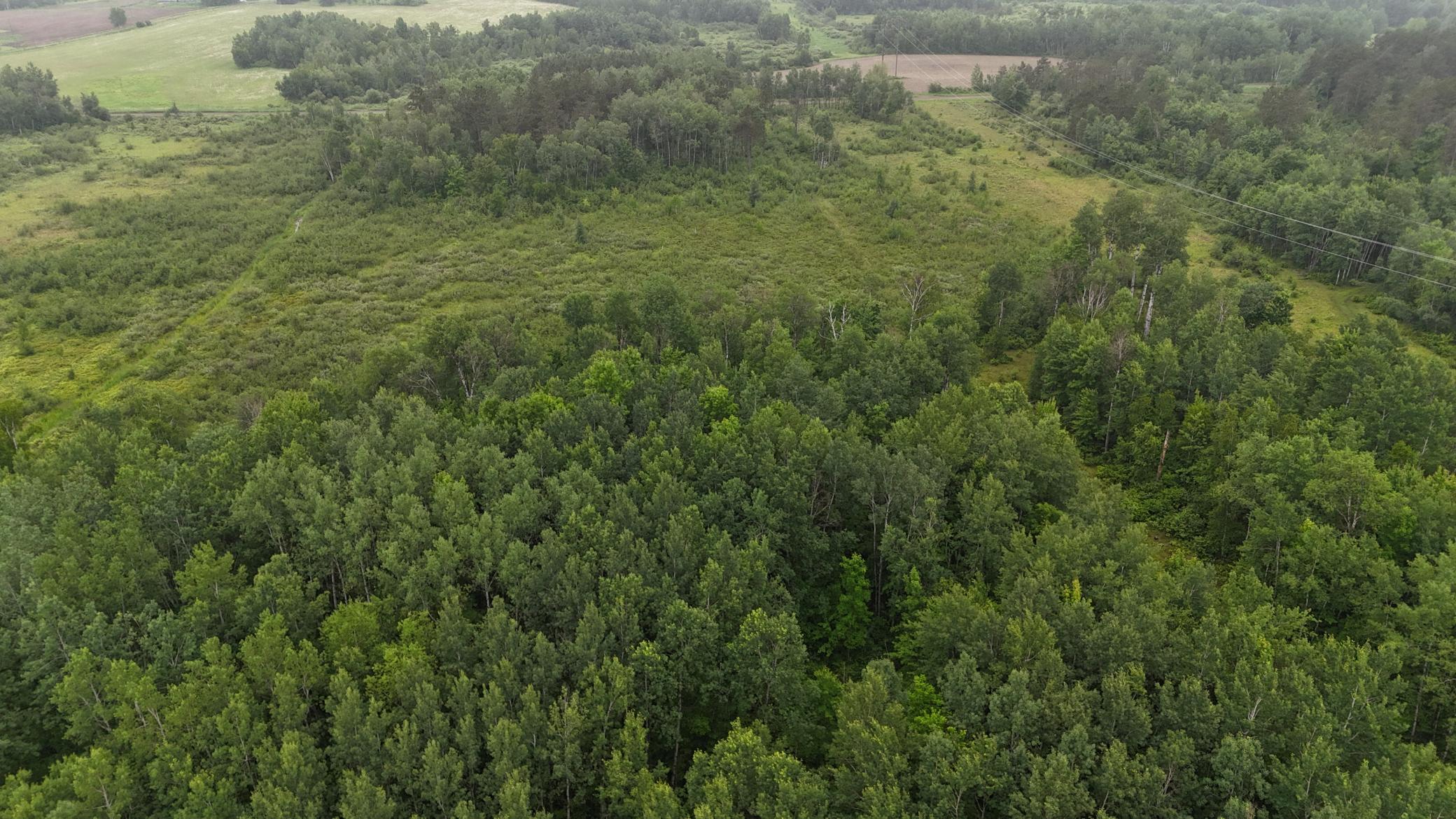 Tbd Klejeski Road Sandstone, MN 55072 - Photo 19 of 32