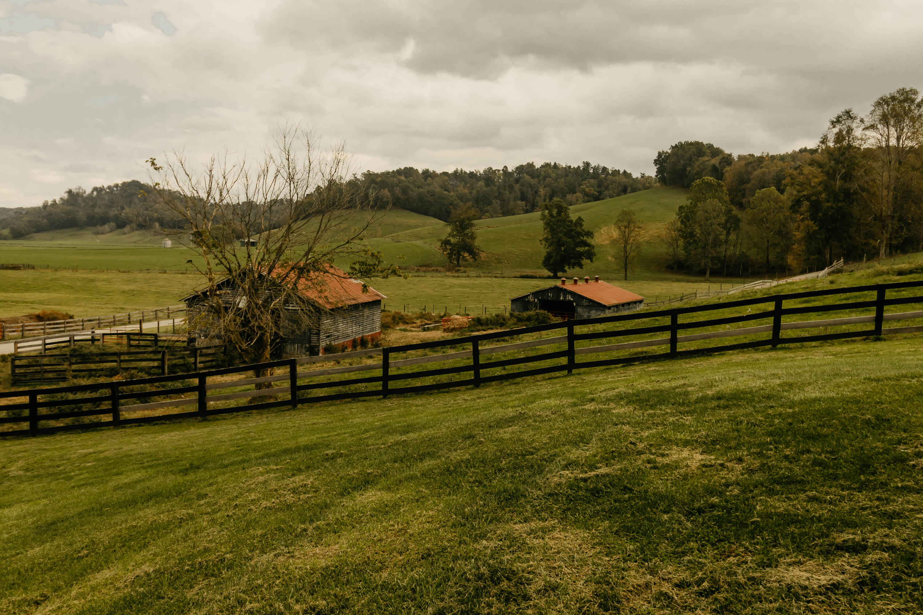 322 Clark Branch Road Campton, KY 41301 - Photo 60 of 63 KRPbw-8246