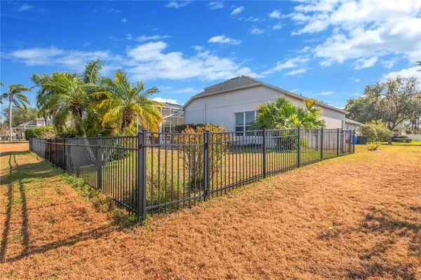 a view of a yard with plants and trees