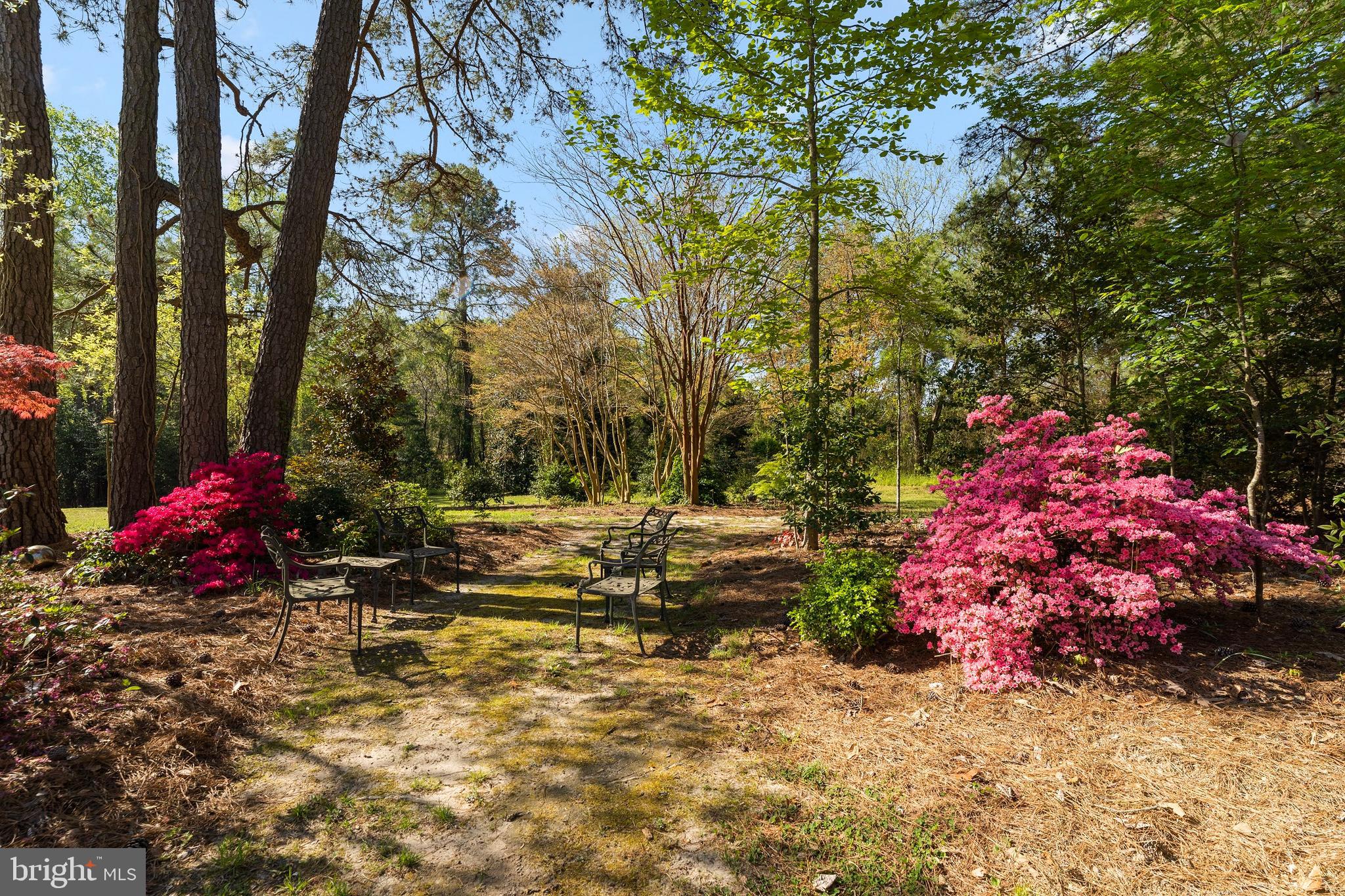 245 Gordon Road Kinsale, VA 22488 - Photo 9 of 33 Gallery Image 9