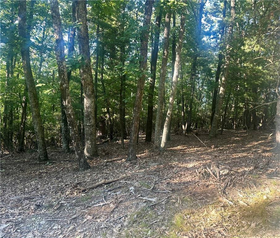 Lot 63 Grandview Circle Traphill, NC 28685 - Photo 2 of 7