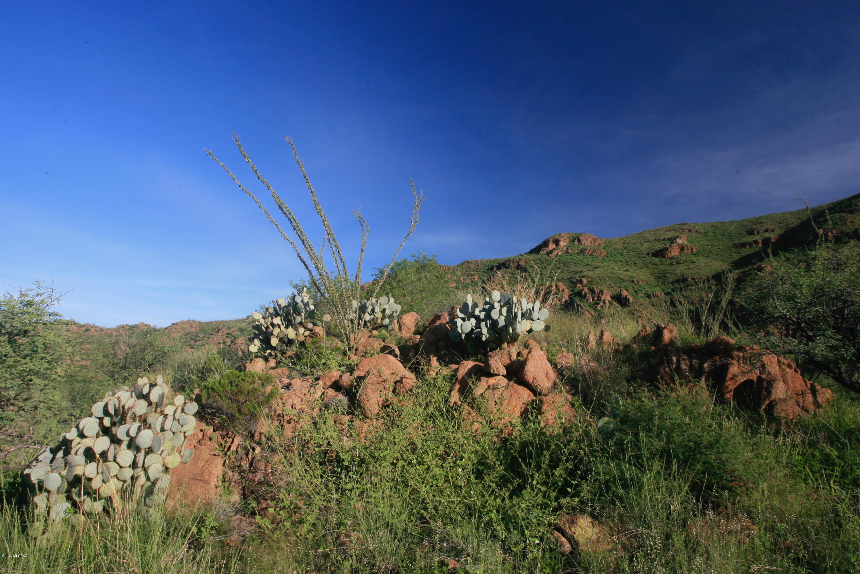 88 Salida Spring Way, Unit 122 Rio Rico, AZ 85648 - Photo 3 of 19