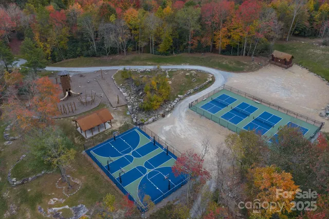 a view of a yard with a bench