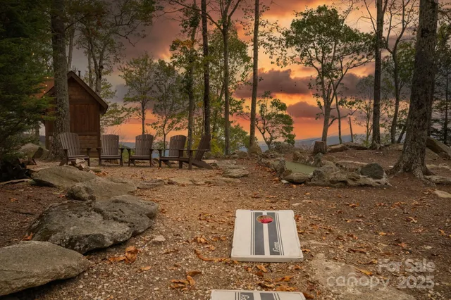 a view of a tree with a yard