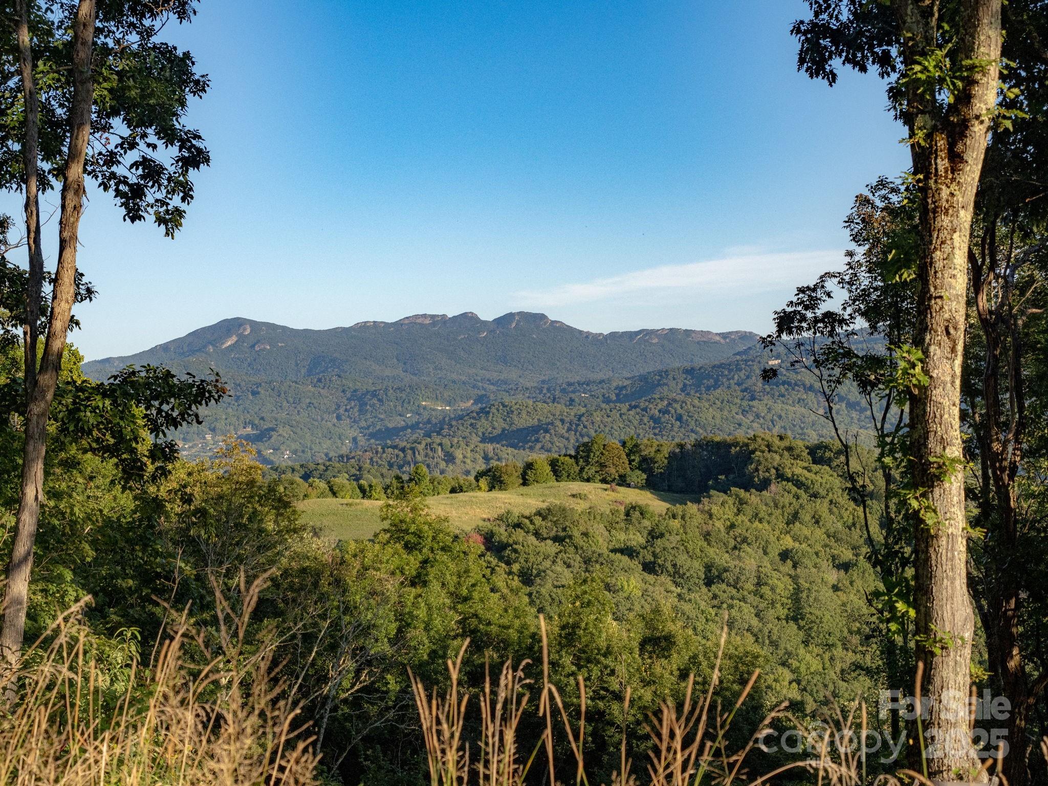 G-66 White Eagle Trail, Unit G66 Banner Elk, NC 28604 - Photo 3 of 24 a view of a mountain in the distance in a field