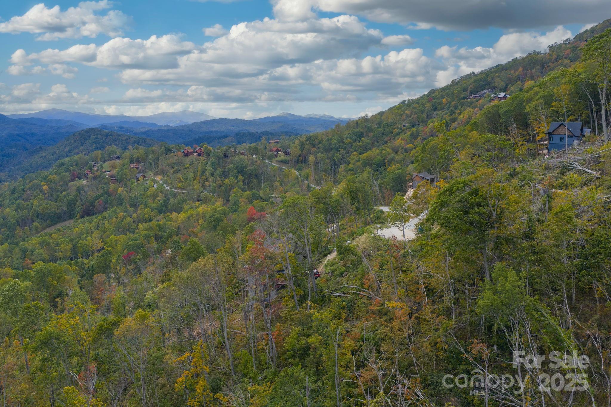 G-66 White Eagle Trail, Unit G66 Banner Elk, NC 28604 - Photo 5 of 24 a view of a bunch of trees and bushes