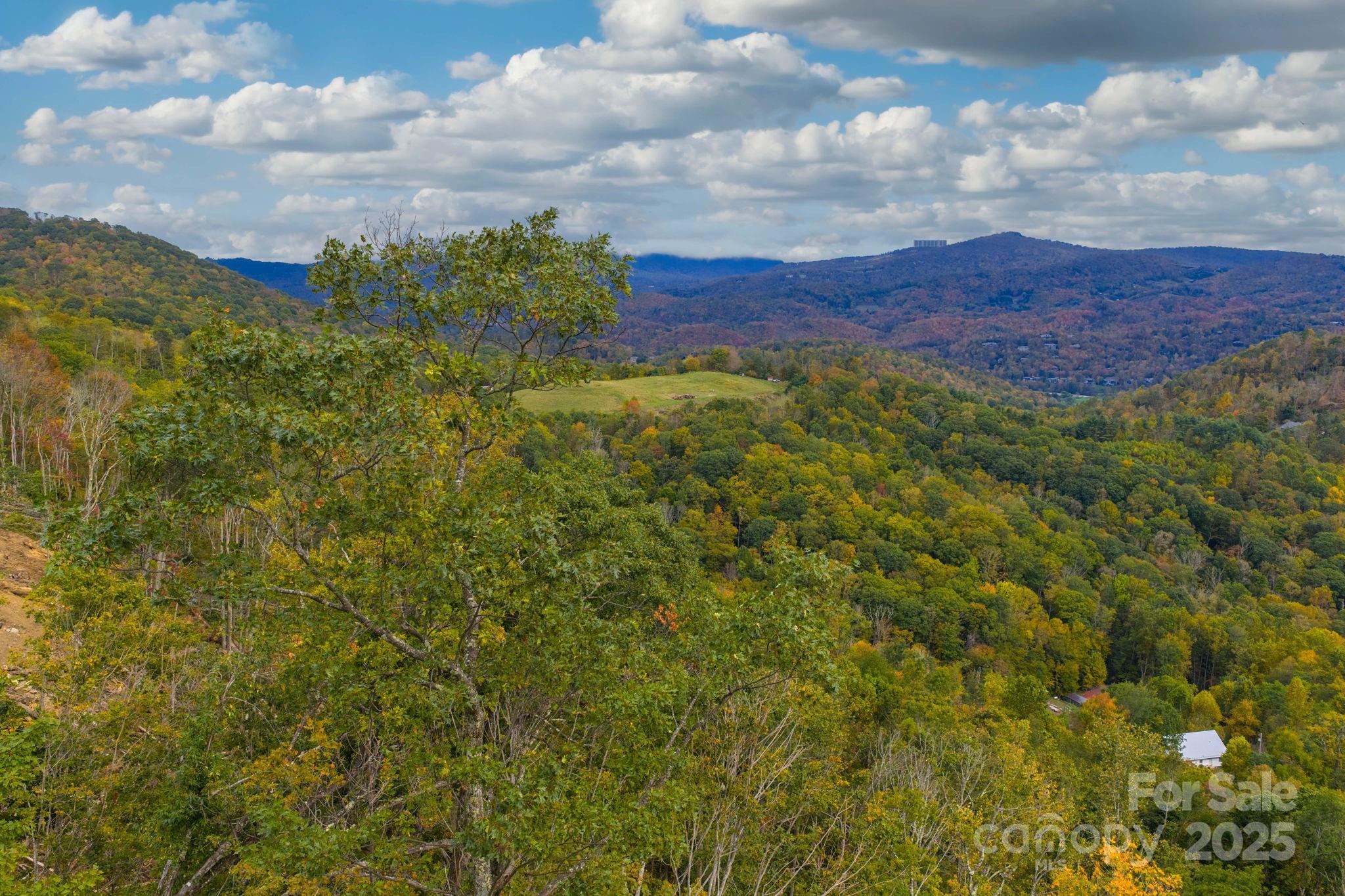 G-66 White Eagle Trail, Unit G66 Banner Elk, NC 28604 - Photo 6 of 24 a view of a bunch of trees and houses