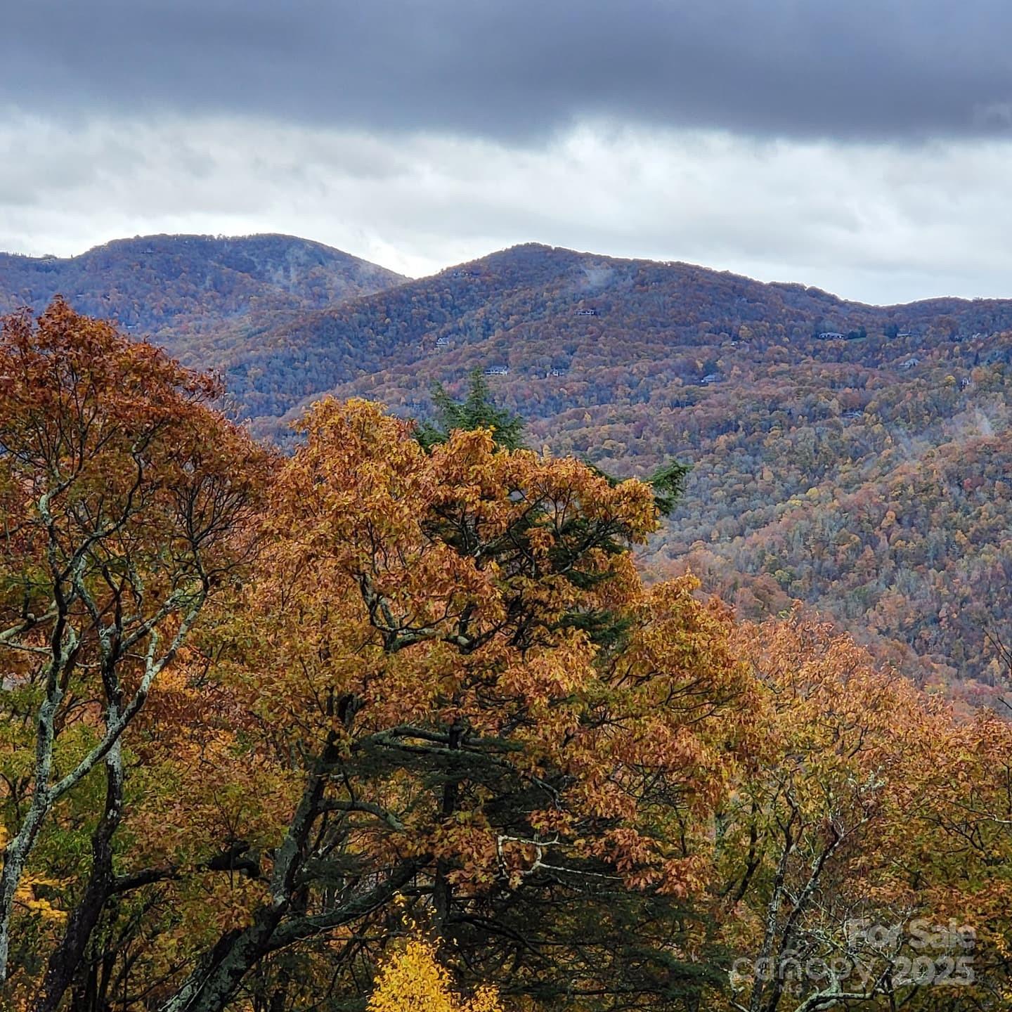 G-66 White Eagle Trail, Unit G66 Banner Elk, NC 28604 - Photo 10 of 24 a view of a house with a mountain in the background