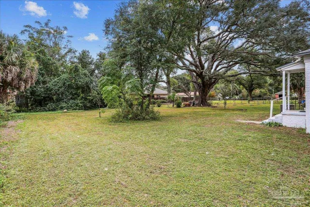 a view of a garden with a bench