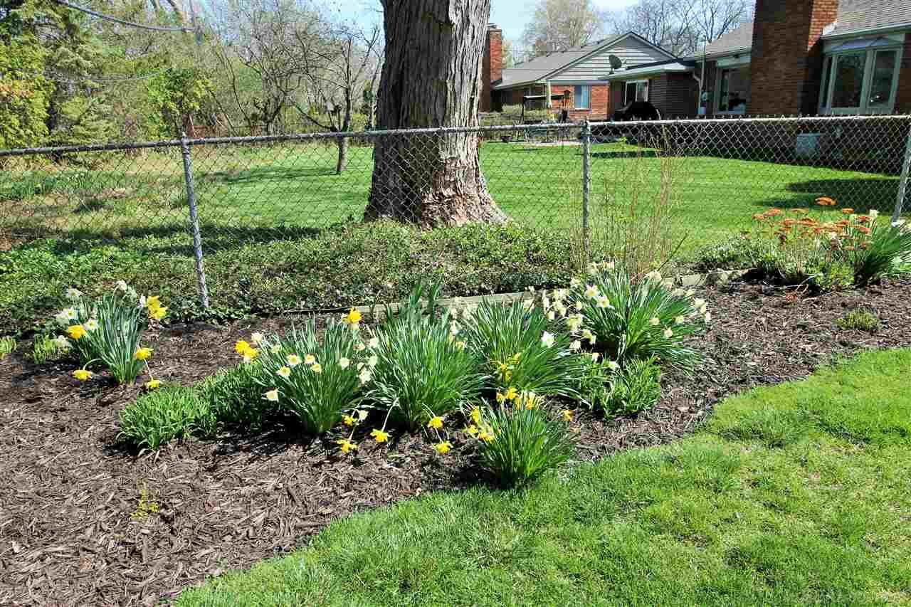 430 Barclay Road Grosse Pointe, MI 48236 - Photo 36 of 40 50039182-35.JPG