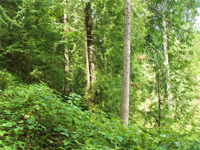 a view of a city with lots of green space