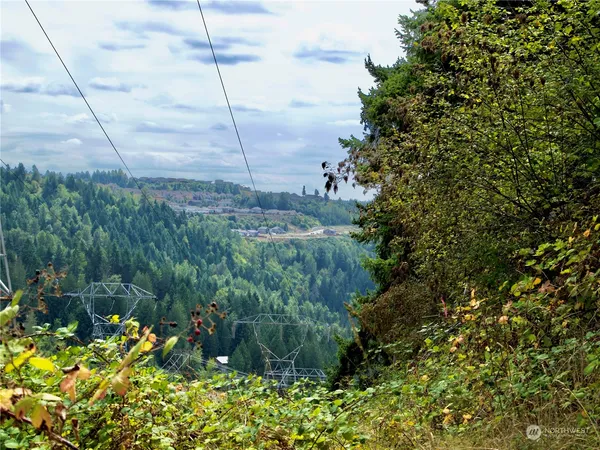 $119,900 | 17233 Highway 410, Bonney Lake, WA 98391