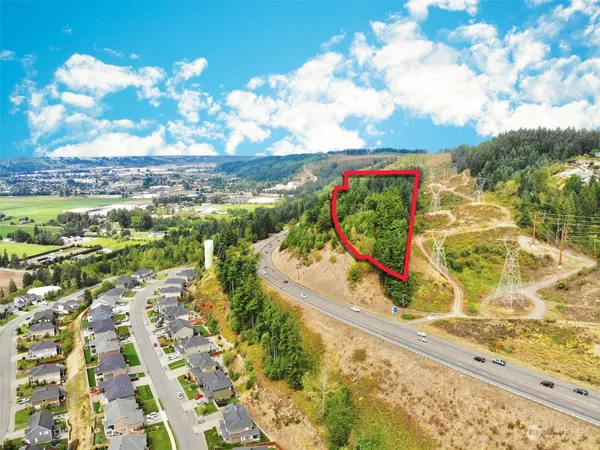 a view of a lush green forest