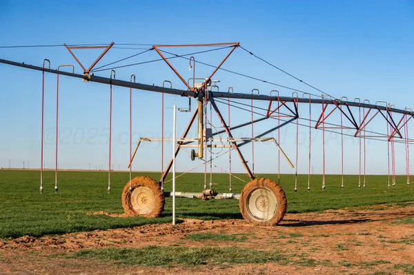 a view of a yard with an ocean view