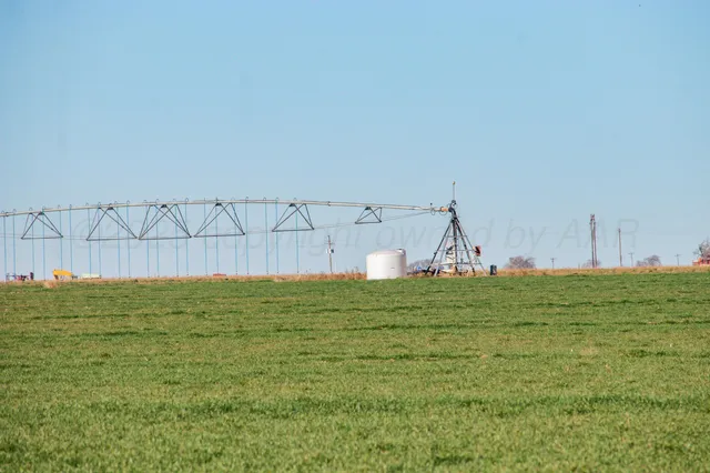 a view of an ocean and beach