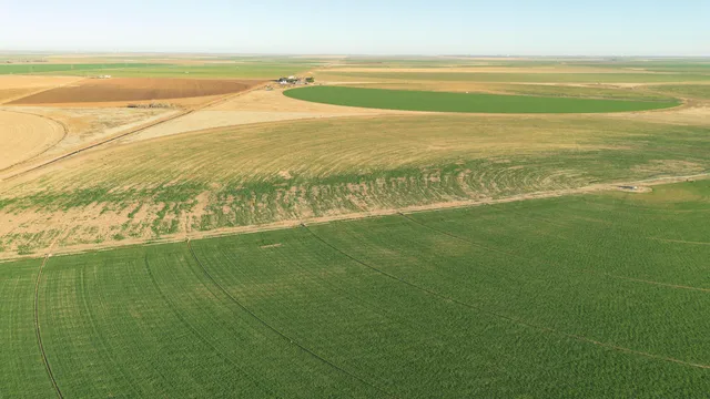 a view of an ocean from a balcony
