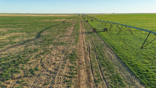 a view of an ocean and beach