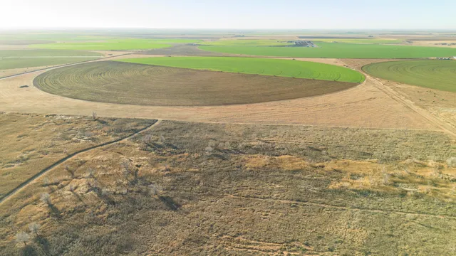 $6,875,988 | Te Velde Irrigated Farm, Dimmitt, TX 79027