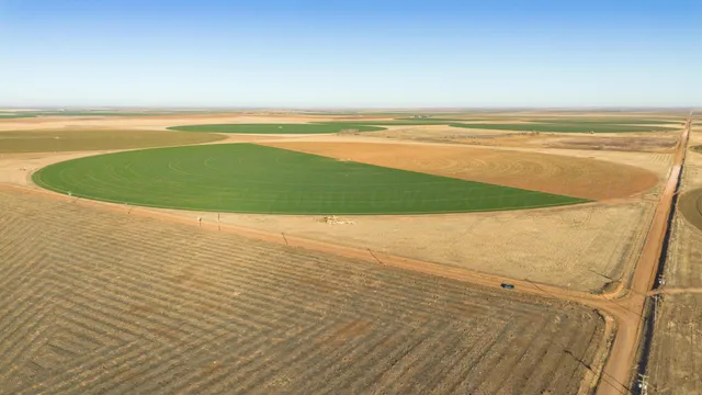 $6,875,988 | Te Velde Irrigated Farm, Dimmitt, TX 79027