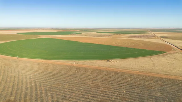 $6,875,988 | Te Velde Irrigated Farm, Dimmitt, TX 79027