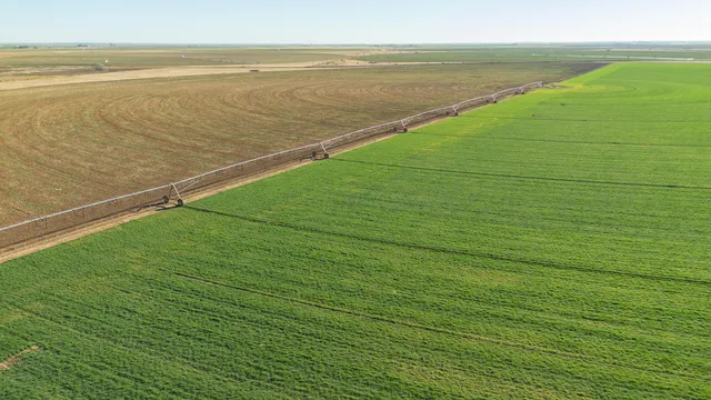 $6,875,988 | Te Velde Irrigated Farm, Dimmitt, TX 79027