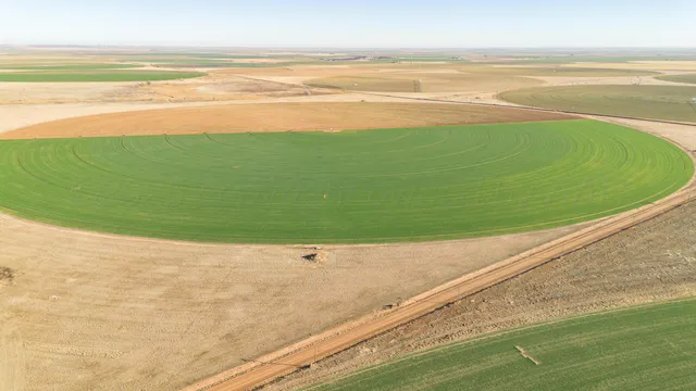$6,875,988 | Te Velde Irrigated Farm, Dimmitt, TX 79027
