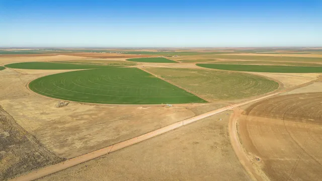 $6,875,988 | Te Velde Irrigated Farm, Dimmitt, TX 79027