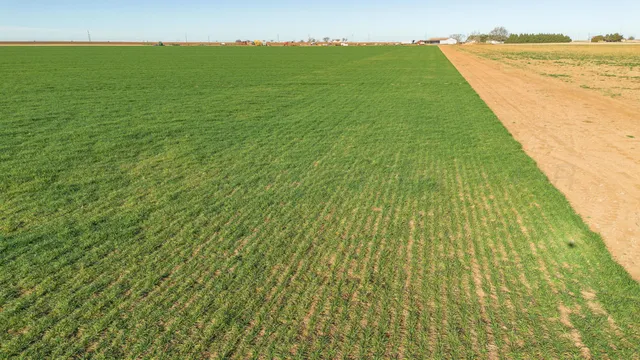 $6,875,988 | Te Velde Irrigated Farm, Dimmitt, TX 79027