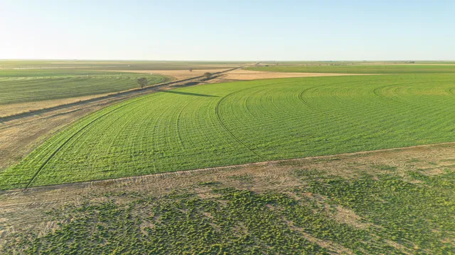 $6,875,988 | Te Velde Irrigated Farm, Dimmitt, TX 79027