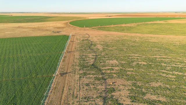 $6,875,988 | Te Velde Irrigated Farm, Dimmitt, TX 79027