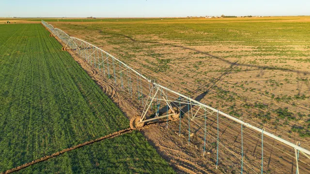 $6,875,988 | Te Velde Irrigated Farm, Dimmitt, TX 79027