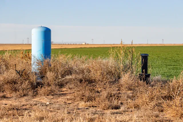 a view of an ocean beach